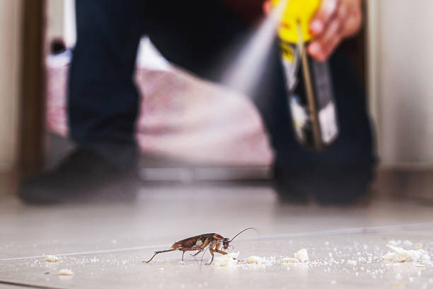 Best Best Pest Control Companies  in Petersburg, AK